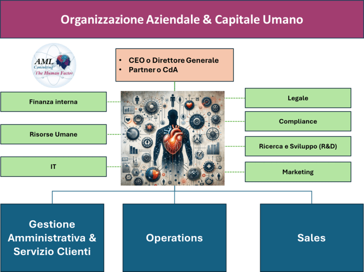 AML Consulting the Human Factor: organizzazione aziendale & Capitale Umano
